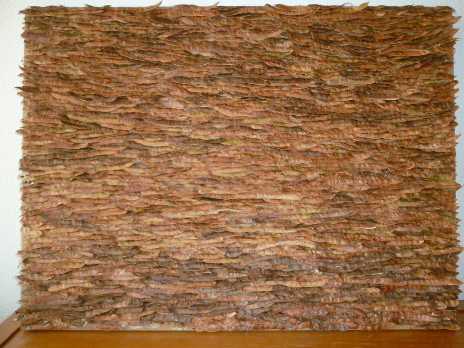Bild aus Akaziensamen (65 × 47 cm)